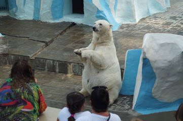 zoo