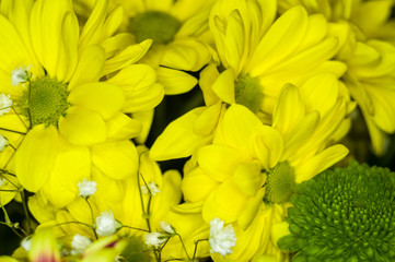 Beautiful gift bouquet of various colorful decorative summer flowers