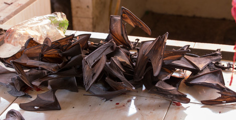 bat wings sold as food