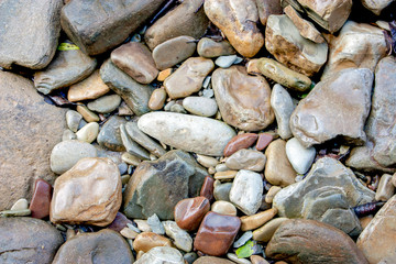 Stone pebbles wet. Smooth stone. Small shingle