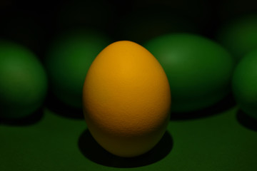 One yellow painted Easter egg stands in front of green eggs on a green background. Happy Easter holiday card or banner.