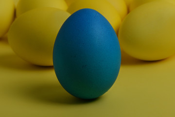 One blue painted Easter egg stands in front of yellow eggs on a yellow background. Happy Easter holiday card or banner.