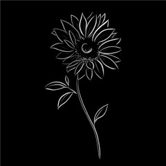 sun flower vector illustration