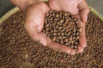 roasted green bean coffee