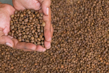 roasted green bean coffee