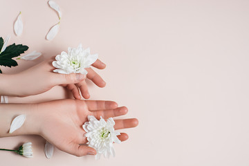 Creative beauty close-up photo hand female with white flowers in summer time. Concept hand care, anti-wrinkles, anti-aging cream, spa. Flat lay composition on pink background for beauty blog.