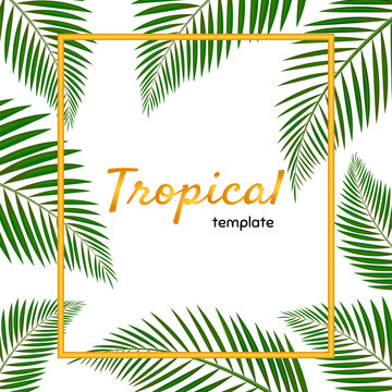 Palm Leaf Vector Background Illustration. Tropical fan palm tree green leaves, exotic forest greenery herbs & elegant golden frame. Luxury botanical rustic natural template