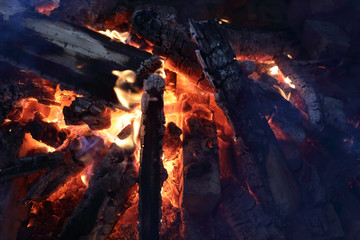 Burning firewood in furnace