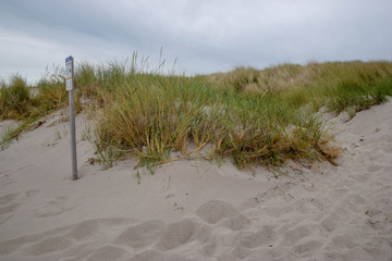 Dünen, Strand, Meer, Grün, Pflanzen, Ozean, Nordsee, Ostsee, Leben 