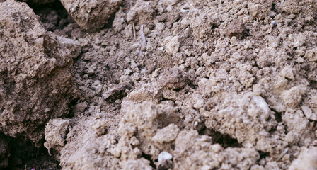 Ground as texture and background