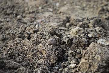 Ground as texture and background