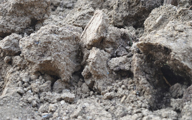 Ground as texture and background