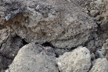 Ground as texture and background