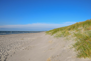Fototapeta na wymiar Dünen, Strand, Meer, Grün, Pflanzen, Ozean, Nordsee, Ostsee, Hintergrund 
