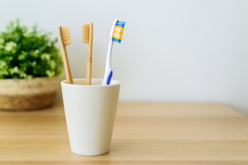 Zero waste concept - tooth brush