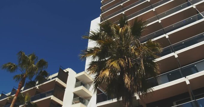 Timelapse Palm Tree Pruning and tronk cleaning, garden works.