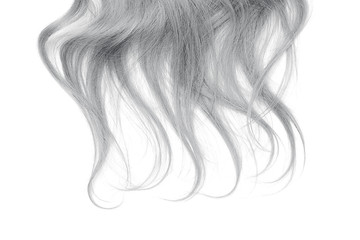 Long gray hair isolated on white background