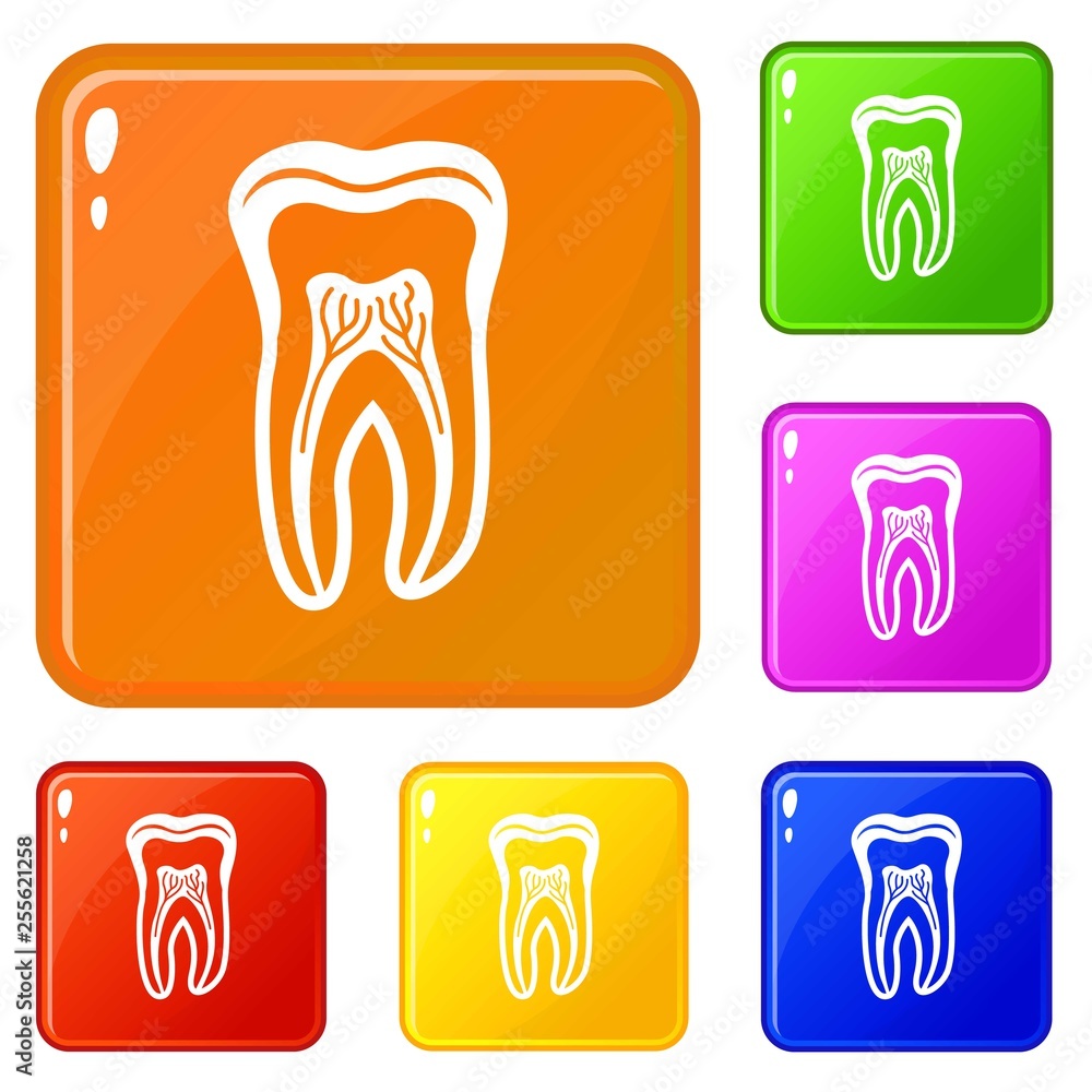 Poster tooth structure icons set collection vector 6 color isolated on white background