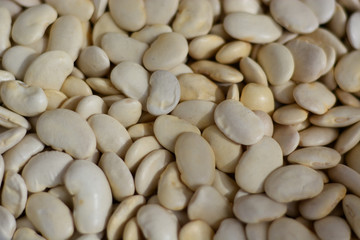 Fagioli grandi,bianchi,secchi