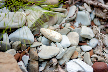 Stone pebbles dry. Smooth stone and green twig on the background of dry pebble. 