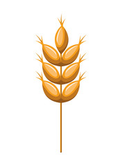 wheat leaves isolated icon