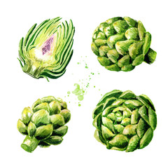 Fresh artichoke set. Watercolor hand drawn illustration  isolated on white background