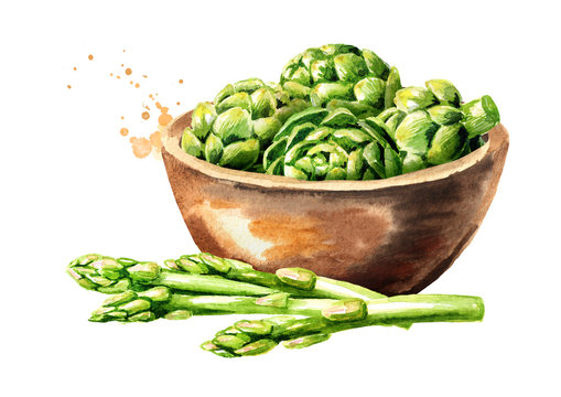 Bowl with ripe artichokes and asparagus spruits. Hand drawn horizontal watercolor illustration  isolated on white background