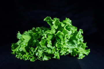 delicious green salad on black background