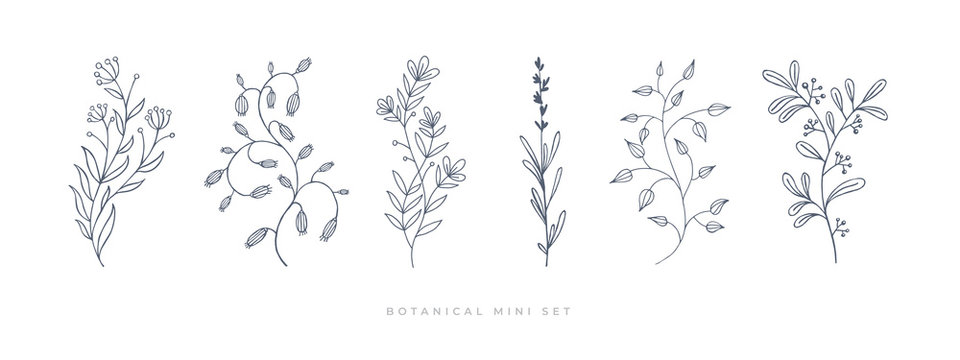 Naklejki Ustaw ręcznie rysowane kręcone trawy i kwiaty na na białym tle. Ilustracja botaniczna. Dekoracyjny obraz kwiatowy.
