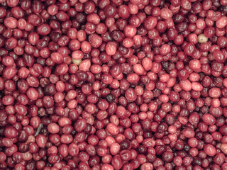 Frozen red berries in the refrigerator in the store
