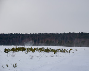 Beautiful winter landscape with a lot of snow