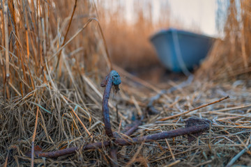 Ruhe, Stille, Erholung zum Sonnenaufgang am alten Naturhafen in Groß Zicker