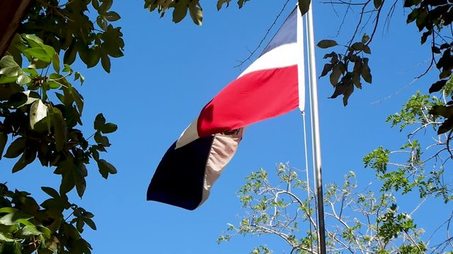 Dominican republic flag with blue sky and trees on a windy day
