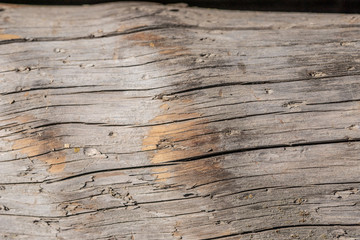 Obraz premium old weathered rotten cracked knotted coarse wood vignette grunge texture