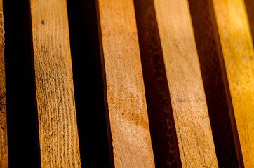 closeup of bees on honeycomb in apiary - selective focus, copy space