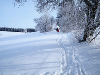 Rear view of parent and child walking along a trail through deep snow in a wintery landscape on a sunny day