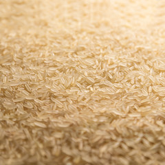 Rice grains macro texture. Rice background.