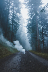 Fototapeta na wymiar Rauch im Wald