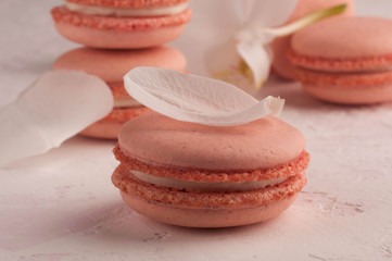 selective focus of pink macaron dessert with white petal on texutured background