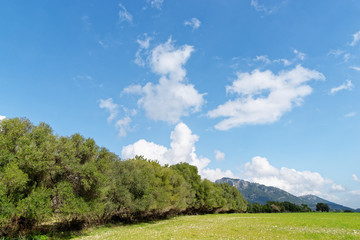 Landschaft Nähe Moscari, Mallorca, Spanien
