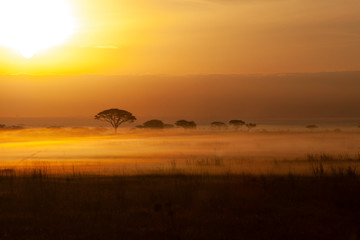 Sunrise in Kenya