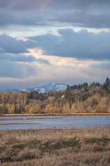 ridgefield wildlife refuge nature area in Washington state