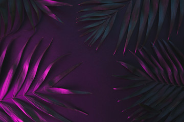Tropical and palm leaves in vibrant bold gradient holographic neon colors , background. - obrazy, fototapety, plakaty