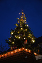 Fototapeta premium Weihnachtsbaum auf einem Dach