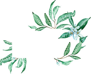 Watercolor illustration of green tropical frame with flowers isolated on the white background is best for your text or banner.