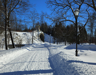 Winter in the Alexander Park of Pushkin