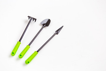 Garden tool for seedlings on white wooden background