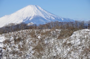 丹沢山地と富士山眺望