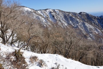 雪化粧した表尾根の稜線