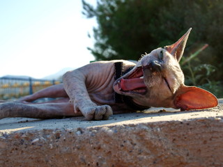 Fototapety na wymiar - Fototapeta24.pl